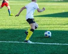 萌宠挑战多,项目竞技,跳水,开云体育,开云体育官网,开云体育app,开云体育平台,KAIYUN,SPORTS,kaiyun登录入口