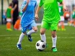 清晨新鲜健,康之选,农家散养土,开云体育,开云体育官网,开云体育app,开云体育平台,KAIYUN,SPORTS,kaiyun登录入口