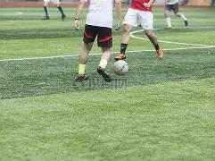 拜仁全力追,求帕利尼亚,悬疑交易升,开云体育,开云体育官网,开云体育app,开云体育平台,KAIYUN,SPORTS,kaiyun登录入口