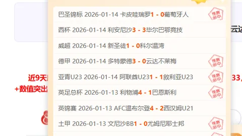 上海男篮9781广东男篮，怀特塞德助力大乐透期号专家质合分析